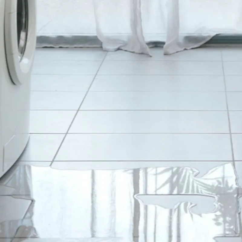 Appliance Leak Cleanup in Leesport, PA