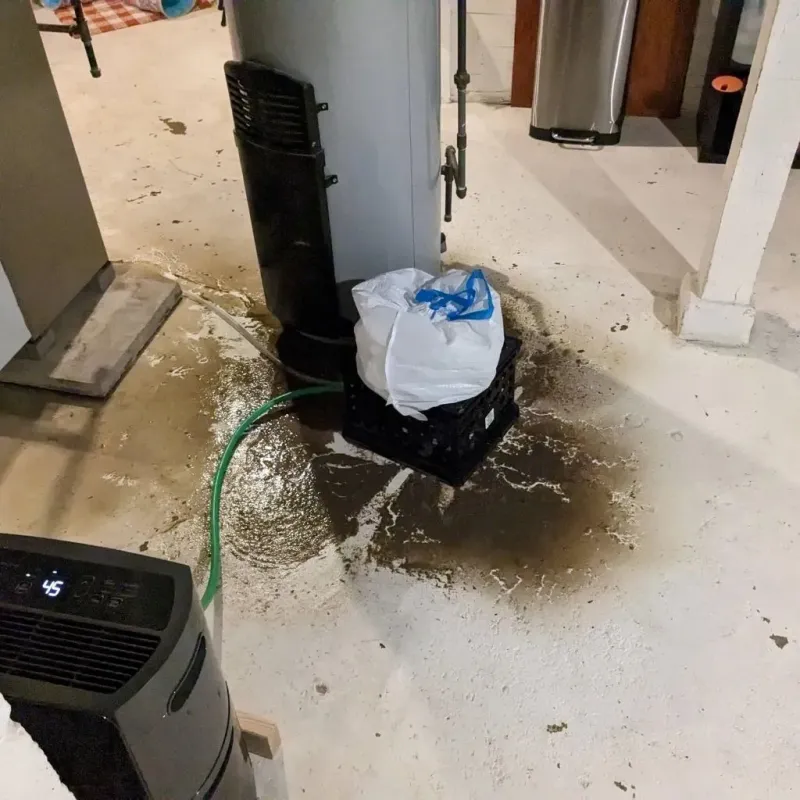 Sewage Backup Cleanup Service in Leesport, PA